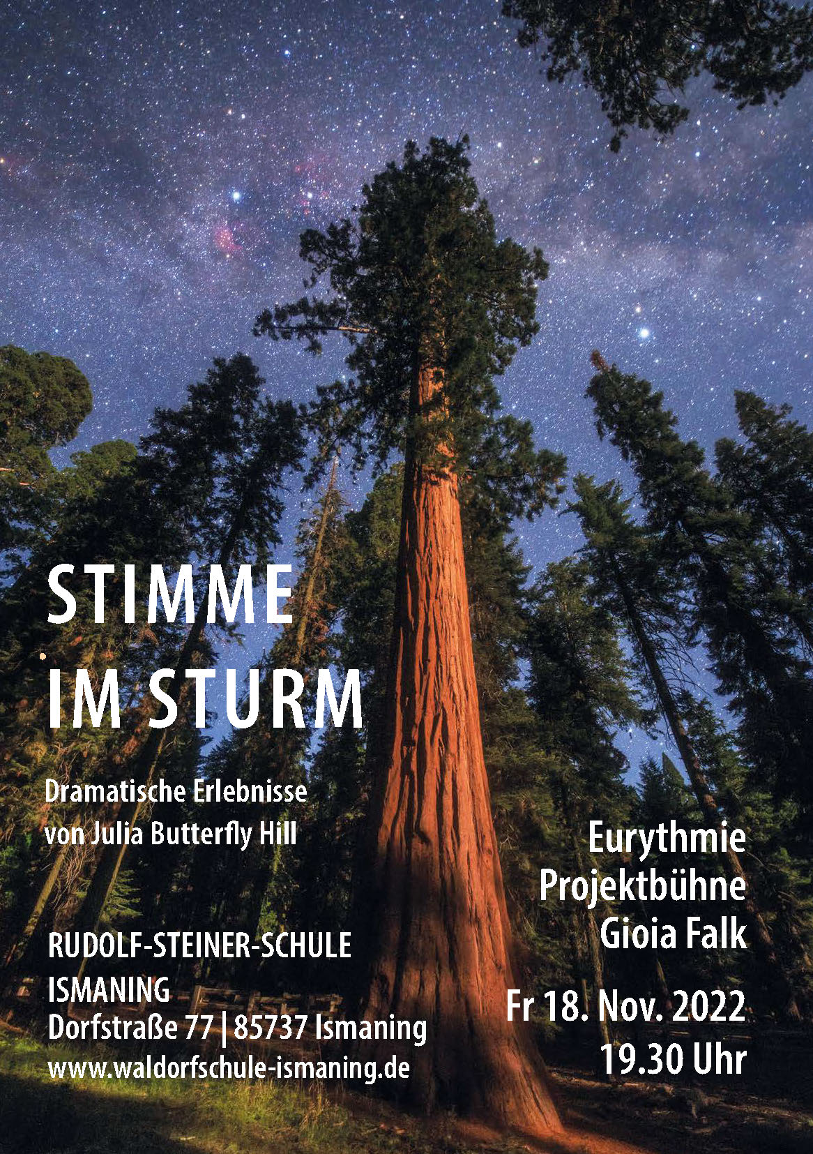 Stimmen im Sturm